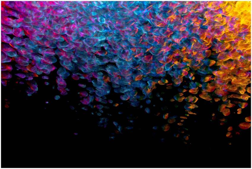 A dynamic and colorful abstract artwork featuring