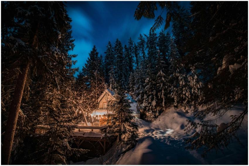 A cozy winter cabin glowing amidst snow-covered tr