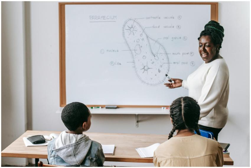 Happy experienced African American teacher showing