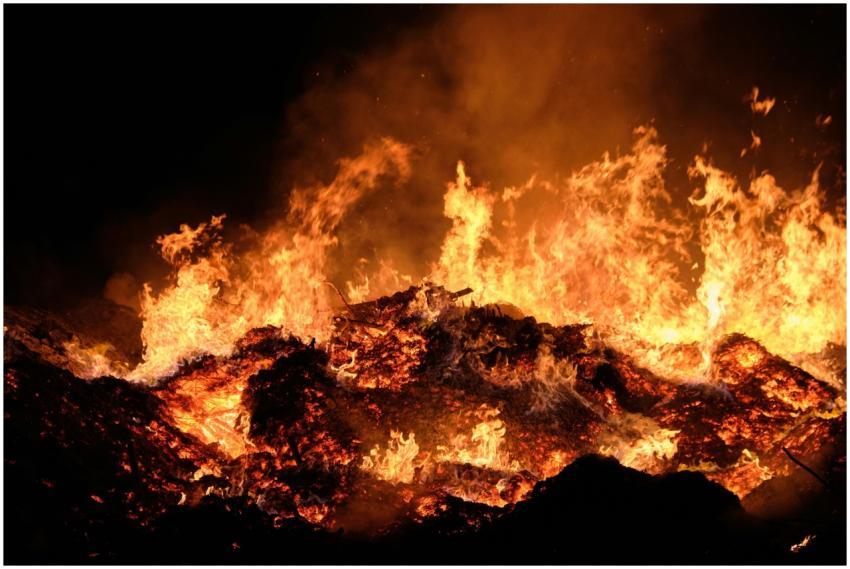 A vibrant and intense fire blazing against a dark