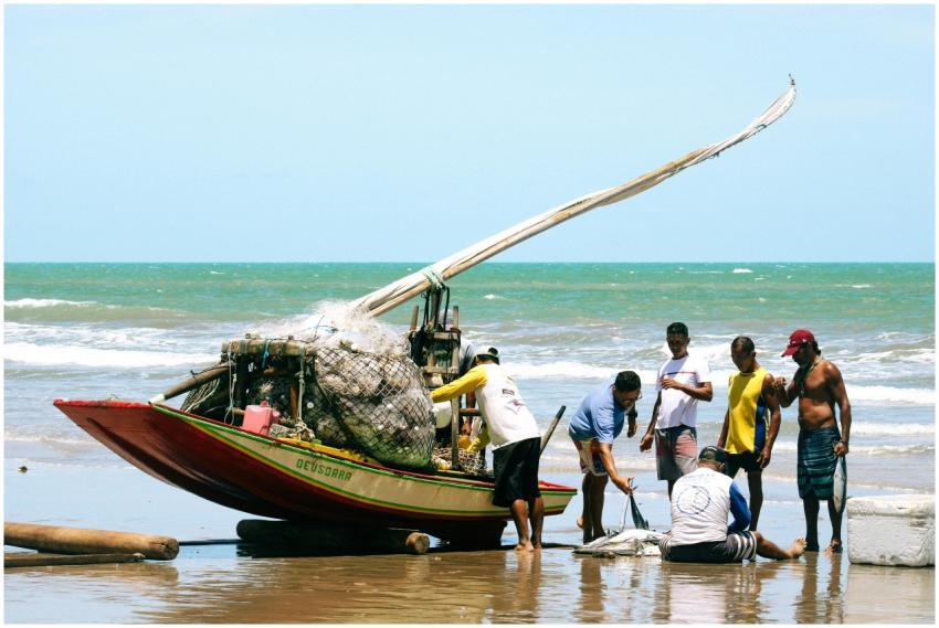 Fishermen Unloading Fresh Catch