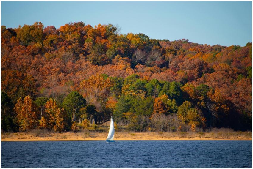 Free stock photo of fall leaves, lake, water