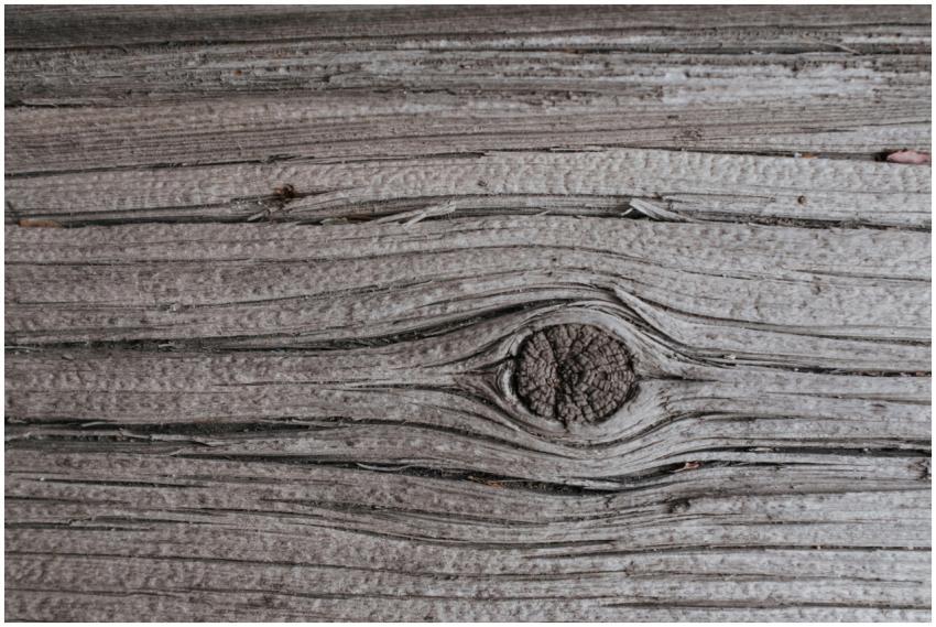 Detailed view of aged wooden texture with visible