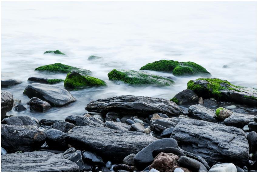 Tranquil coastal scene featuring moss-covered rock