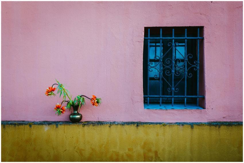 Pink and yellow wall with a flower vase and decora