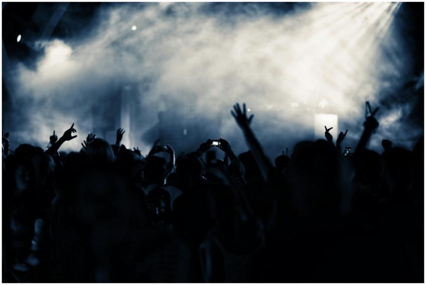 A lively nightclub concert scene with a cheering c