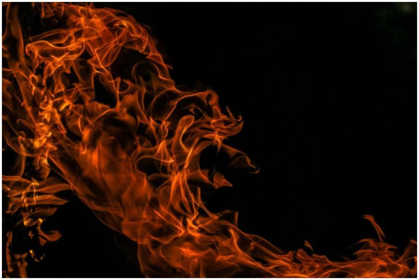 Close-up of vibrant orange flames dancing against