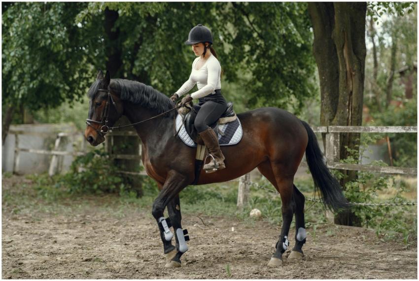 A young woman in riding gear enjoys equestrian act