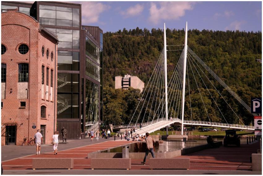 Scenic view of contemporary bridge and buildings i