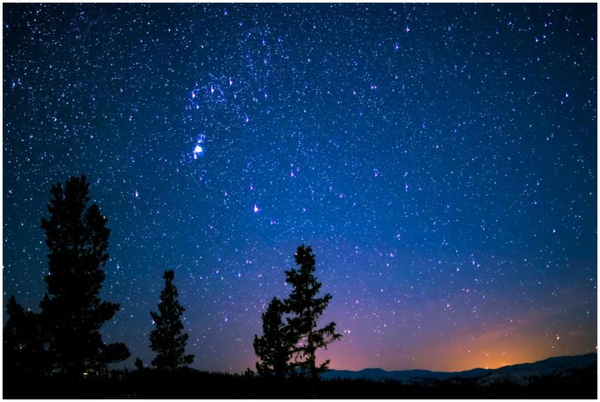 Beautiful starry night sky with silhouetted trees,
