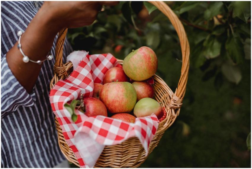 Side view of crop anonymous ethnic female farmer c