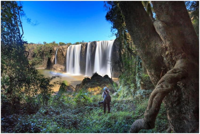 Traveler enjoying the breathtaking view of a lush