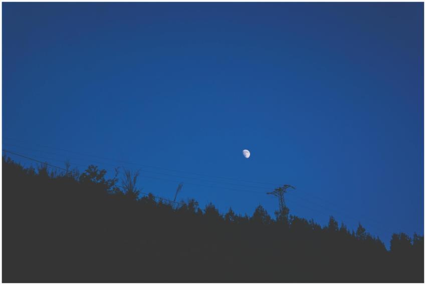 Silhouette of trees and power lines under a tranqu