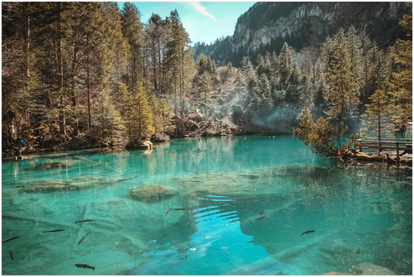 Serene turquoise waters of Blausee Lake surrounded
