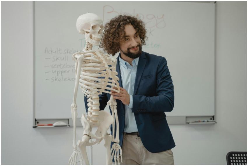 A biology teacher demonstrates the human skeleton