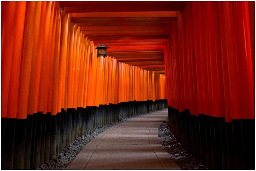 Explore the iconic Torii gates of Fushimi Inari Sh