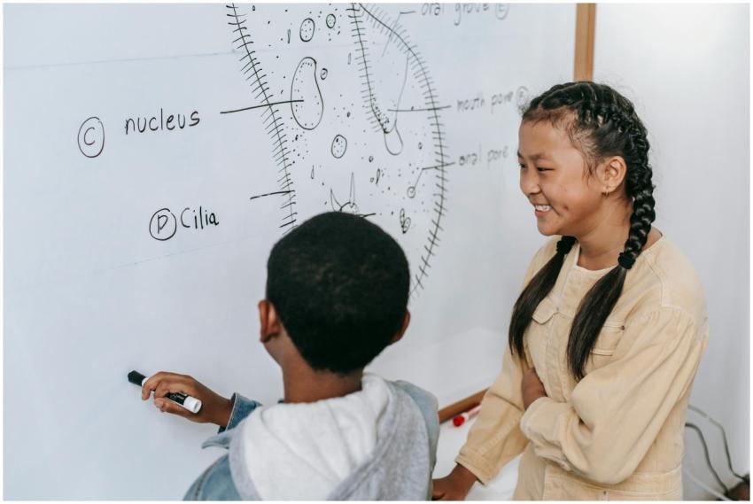 Children learning biology together, discussing cel