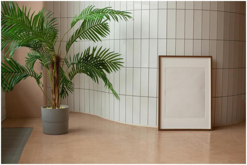 Minimalist interior featuring a potted palm and bl