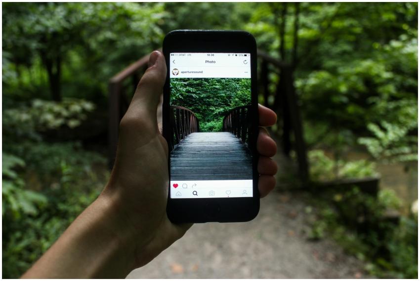 A hand holds a smartphone capturing a forest bridg