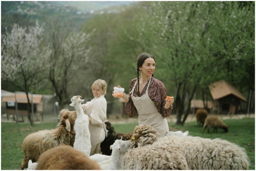 Two women in aprons interact with sheep on a lush