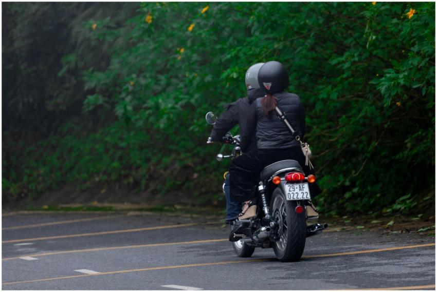 Two motorcyclists riding through a lush green road