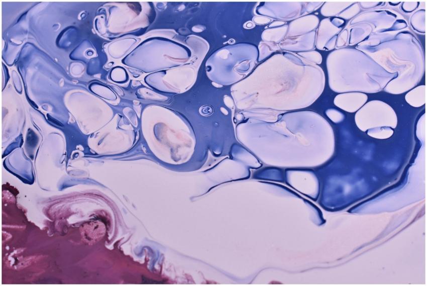 Explore a vibrant mix of colors and textures in th