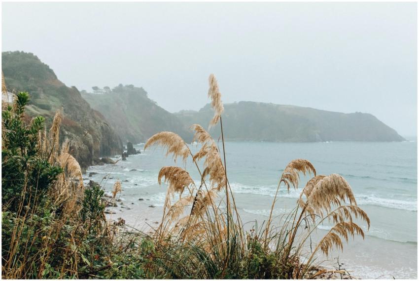 A serene coastal landscape featuring tall grasses,