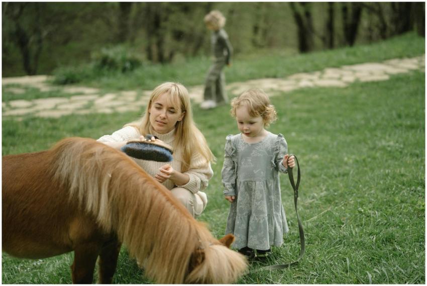 A mother and daughter groom a pony in a grassy fie
