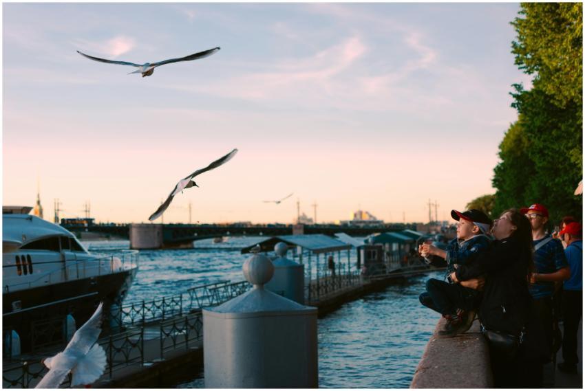 A family enjoys watching seagulls by the river in