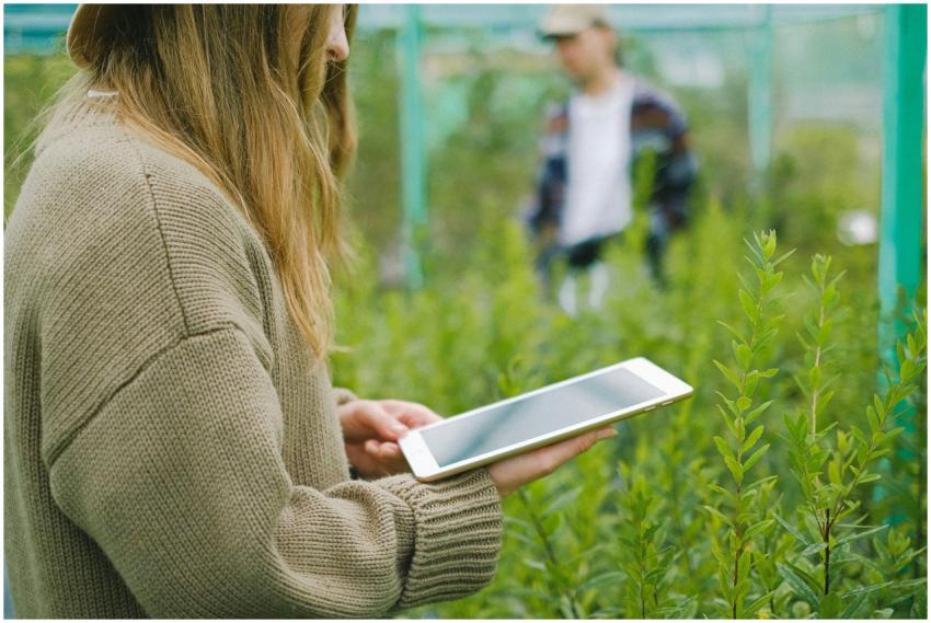 A woman using a tablet in a greenhouse for managin