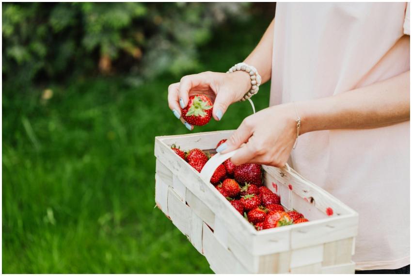 A woman holding a basket full of fresh strawberrie