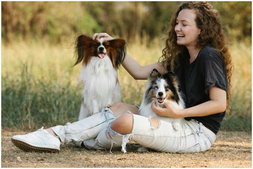A joyful woman playing with a Papillon and Sheltie