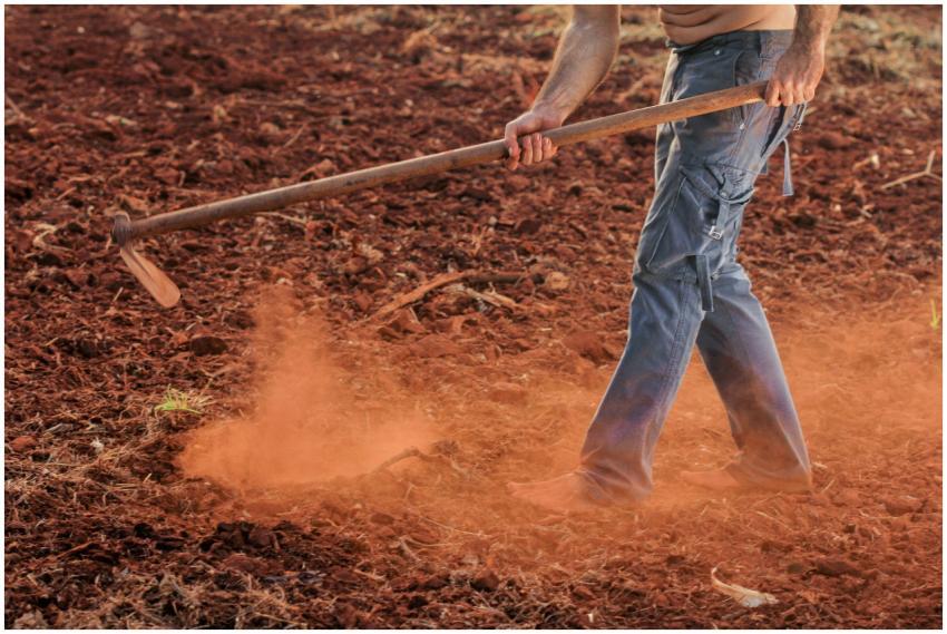 Barefoot farmer working the land in denim jeans, t