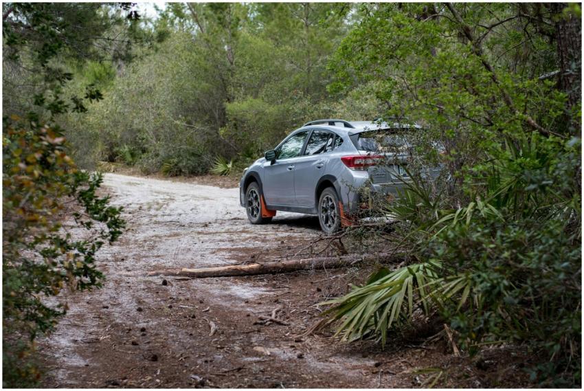 Free stock photo of 4k, 4k nature background, abst