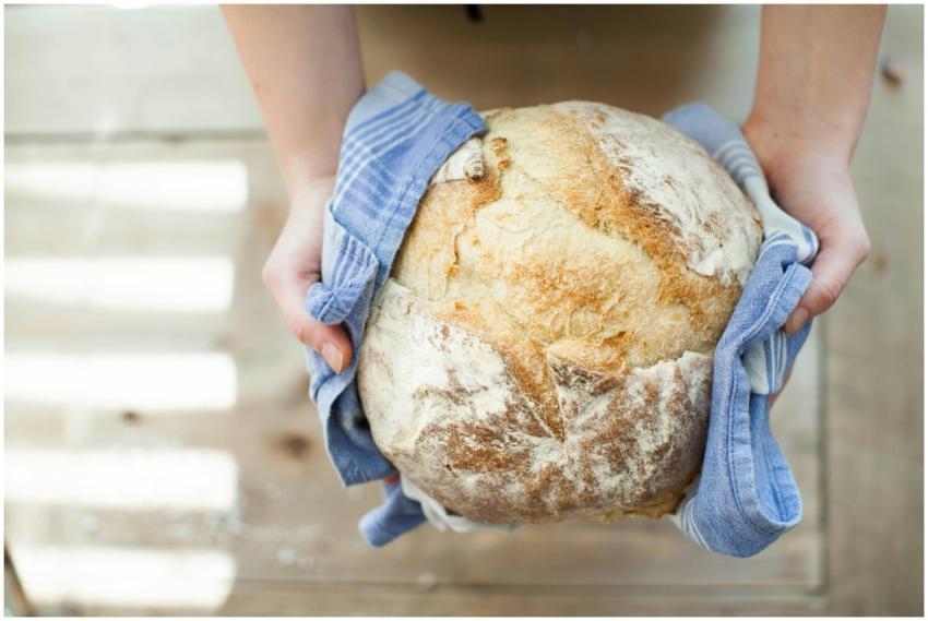 Close-up of artisan bread held in hands with a blu
