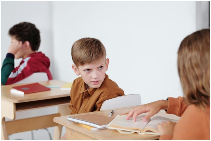 Two caucasian boys in a school setting engaged in