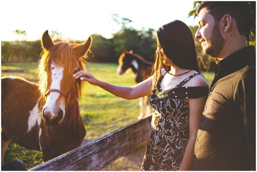A couple enjoying time with horses on a sunny day