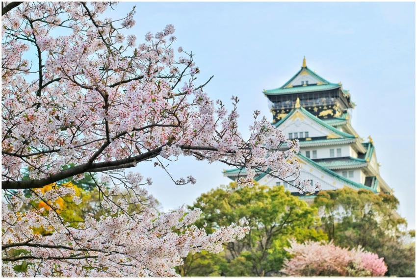 Capture of Osaka Castle surrounded by beautiful ch