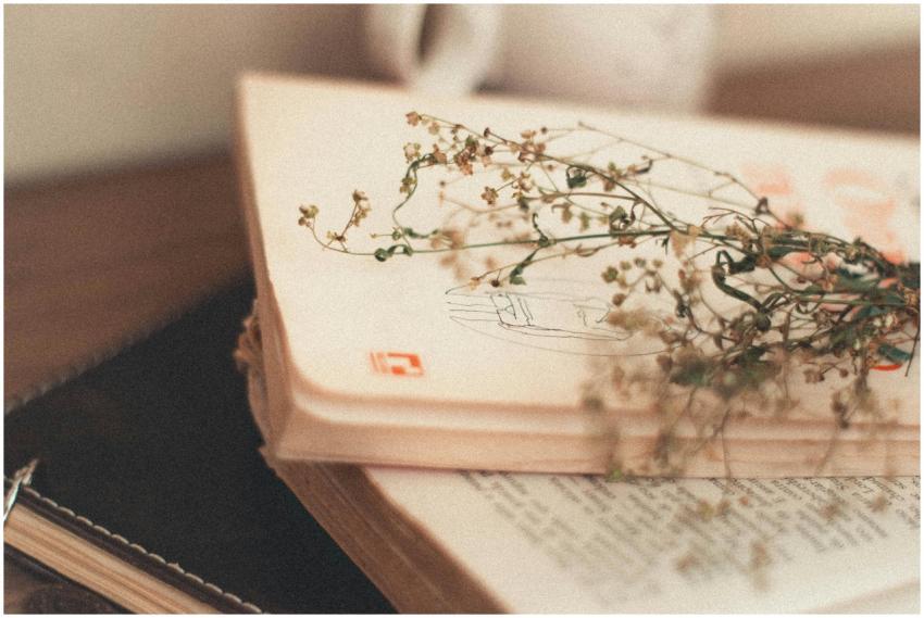 Vintage books with delicate flowers creating a nos