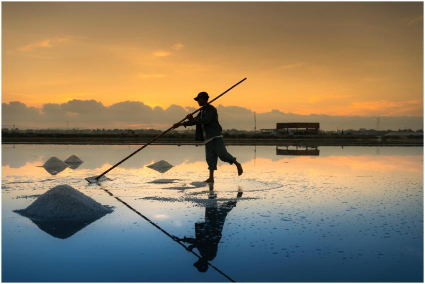 A farmer collects salt in a serene sunrise setting