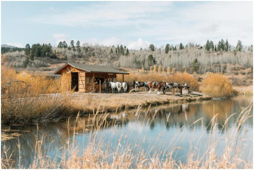 Idyllic fall scene with horses near a rustic hut b