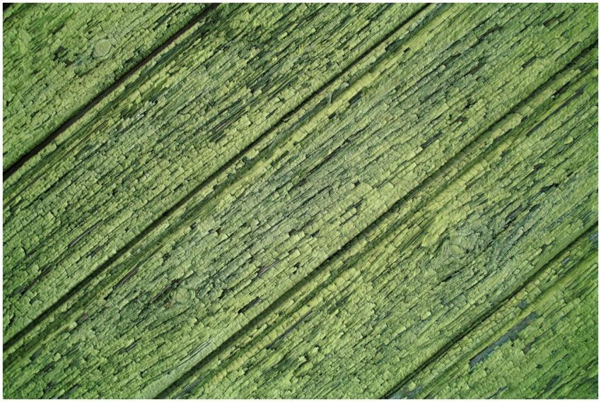 Close-up shot of textured green painted wooden pla