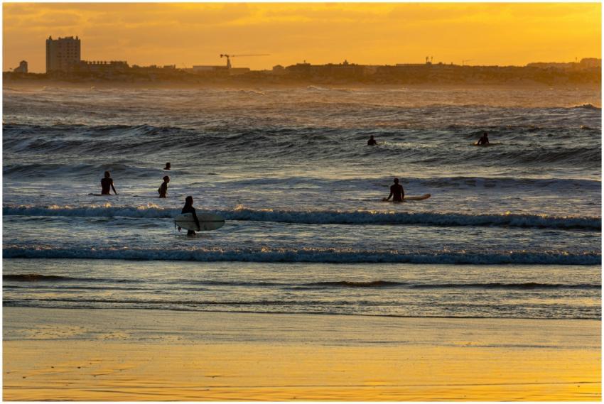 Silhouetted surfers catching waves at sunset on a