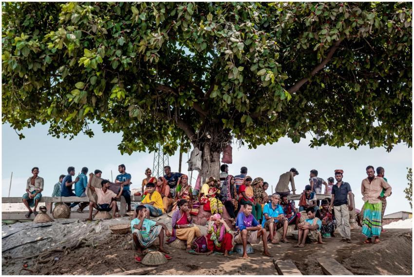 Community Gathering Under Large