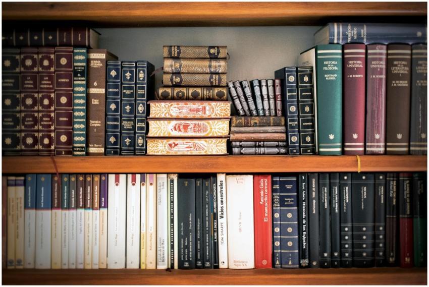 A detailed view of a bookshelf with vintage and cl
