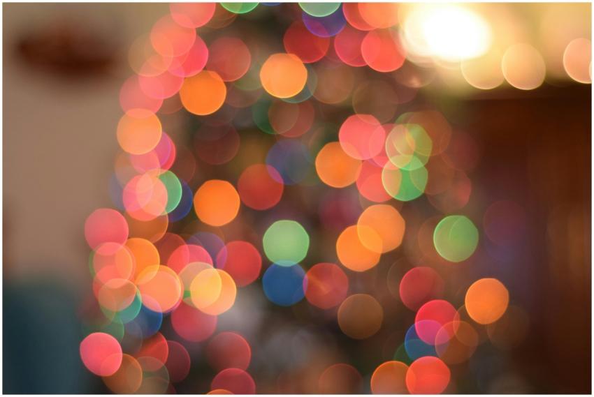 Vibrant bokeh of Christmas tree lights creating a