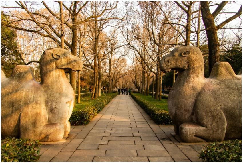 Two ancient stone camel statues line a serene path