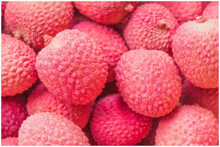 Vibrant close-up of ripe red lychee fruits showcas