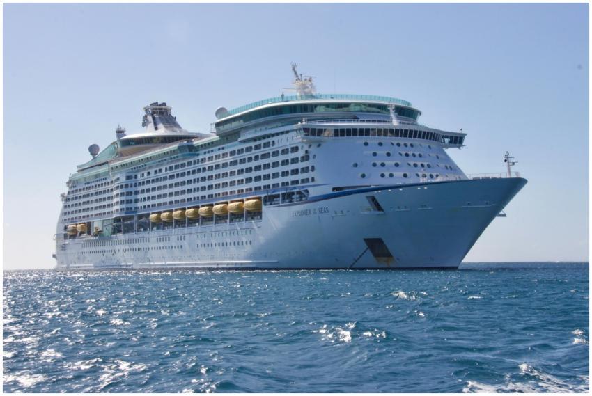 A luxurious cruise ship sailing on the ocean under