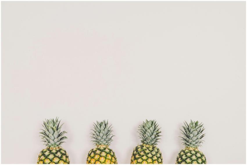 A minimalist image of four pineapples aligned on a